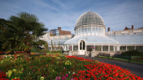 Belfast Botanic Gardens_master