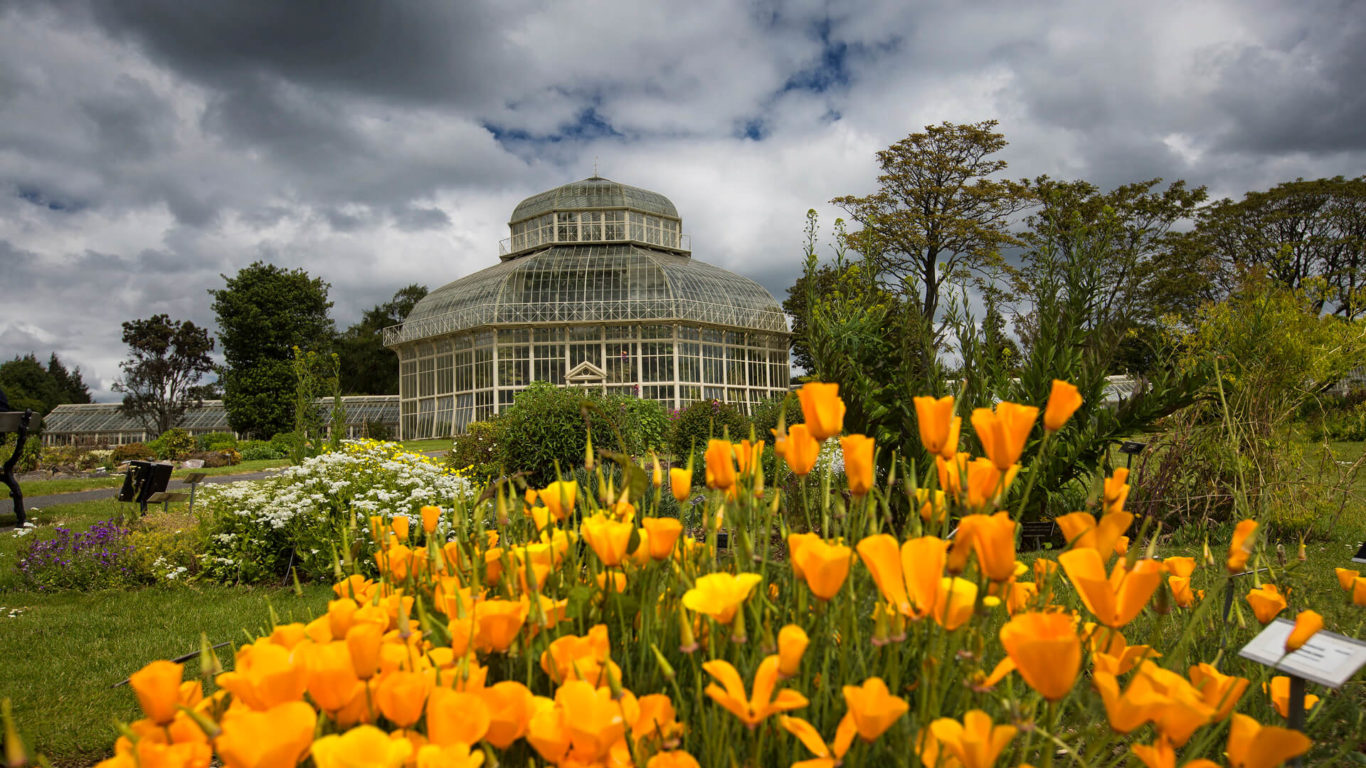 National Botanic Gardens_master