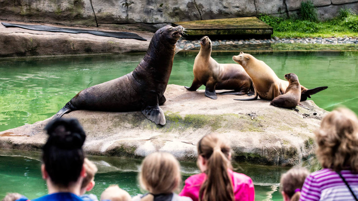 Belfast Zoo_web-size_2500x1200px