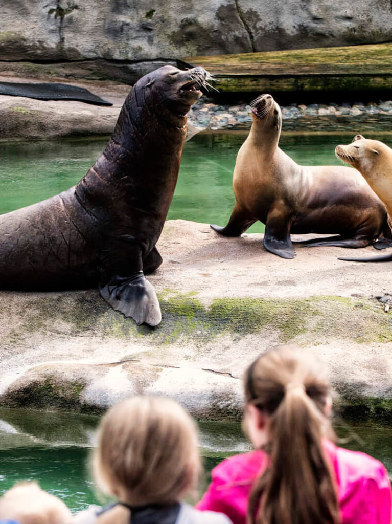 Belfast Zoo Hotels Near Belfast Zoo Europa Hotel Belfast