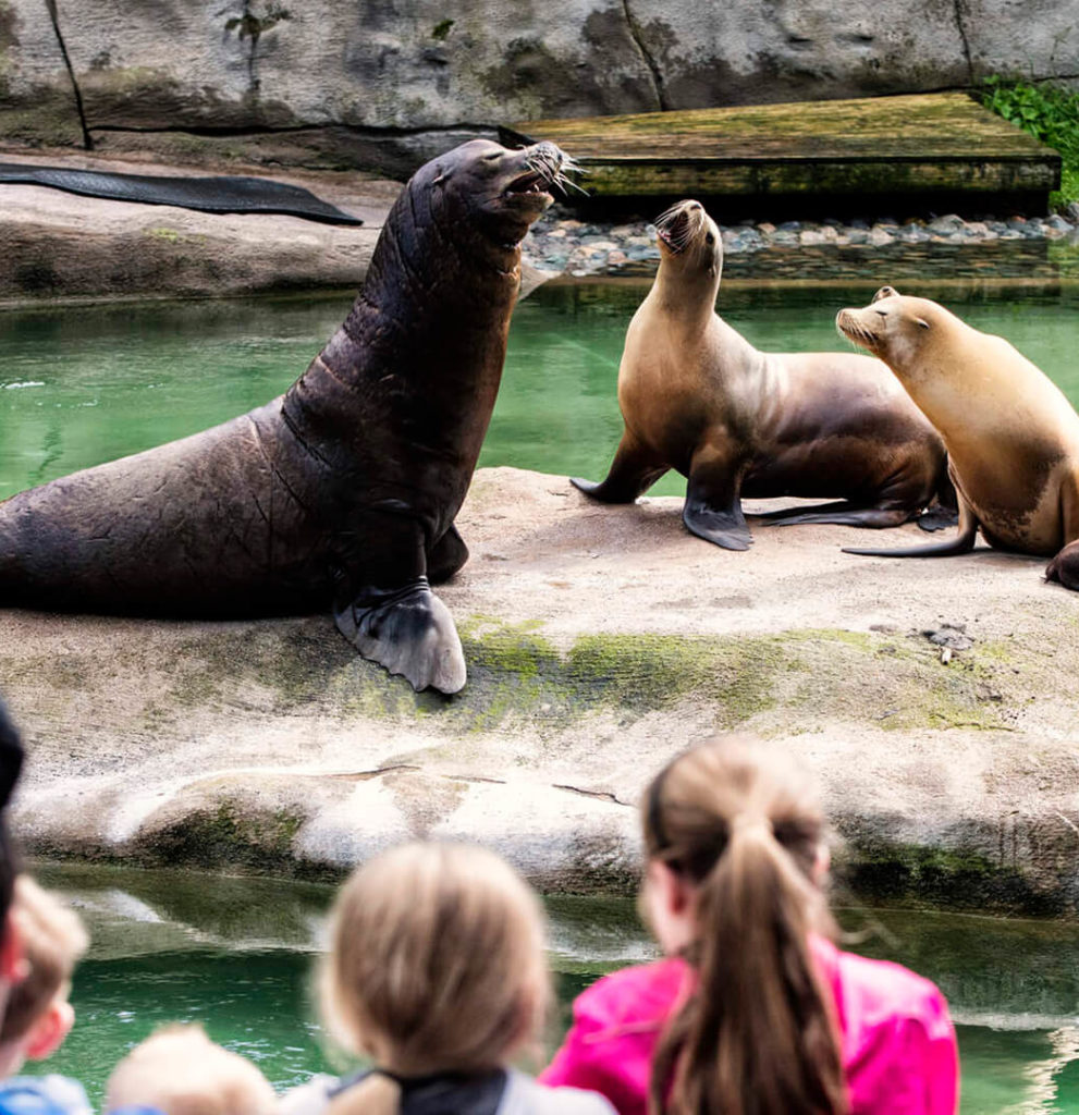 Belfast Zoo Hotels Near Belfast Zoo Europa Hotel Belfast