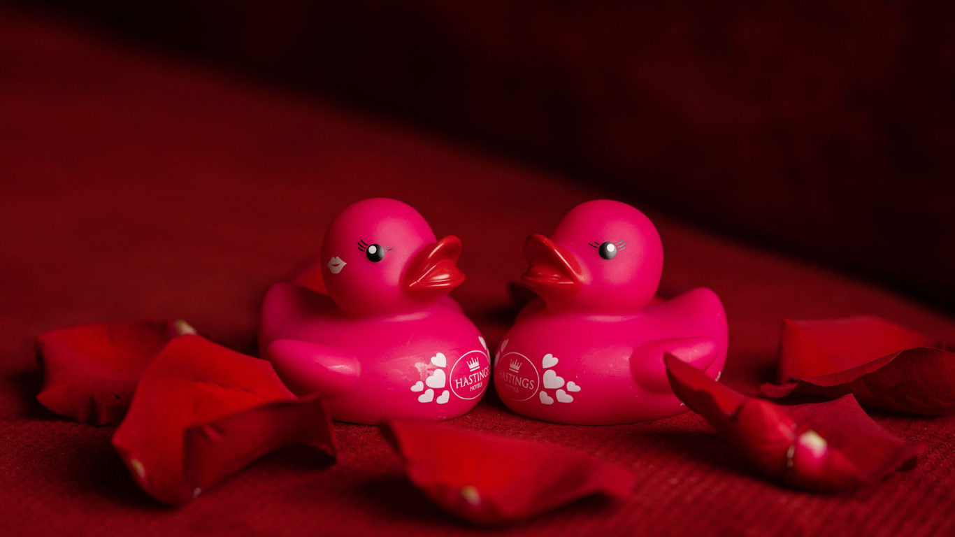 Valentines Ducks