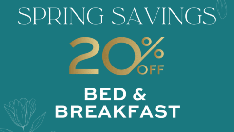Enjoy 20% off bed & breakfast this spring with floral design, perfect for a relaxing getaway.