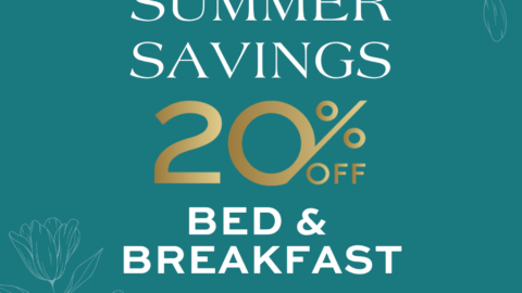Summer savings offer of 20% off Bed & Breakfast against a teal floral backdrop.